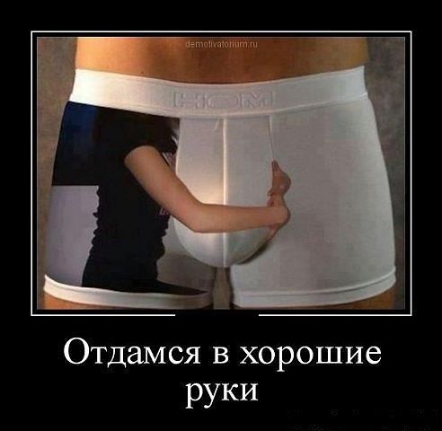 Отдамся в хорошие руки