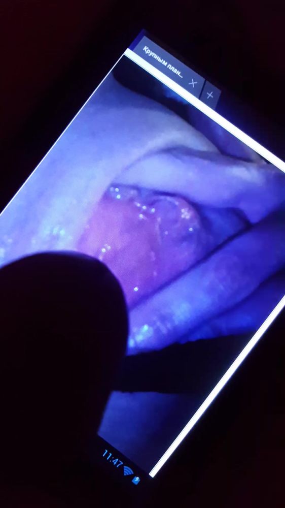 Поклонники