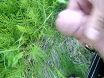 Дрочу на природе