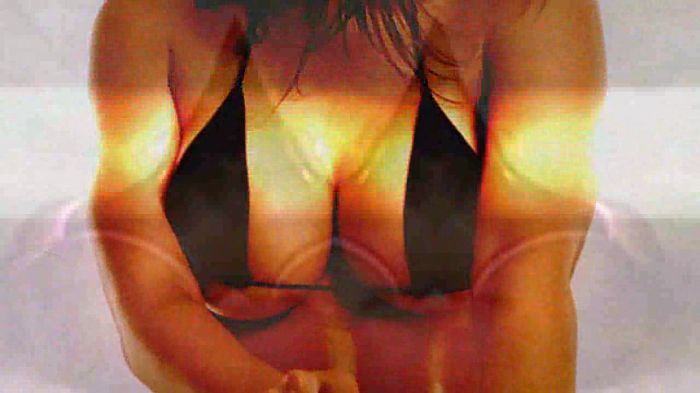 Vida Guerra Bikini Mix