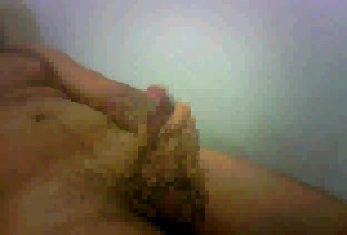 ya v skype zhdu vam devuskı