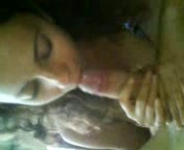 Минет Лаура