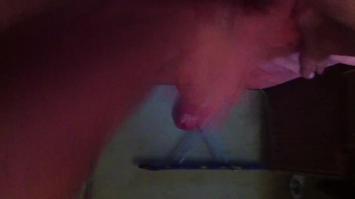 Сибирячка 2