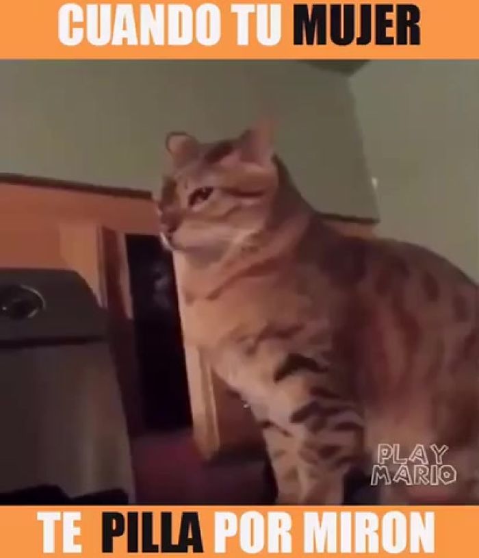 Личные видео