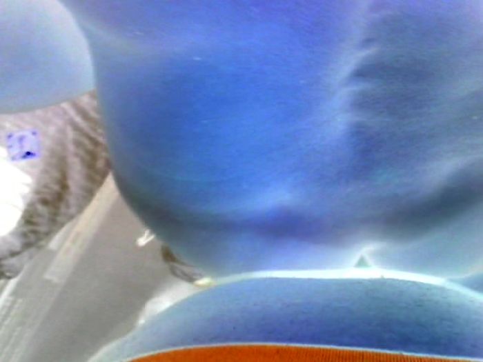 Люблю в жопу драть..