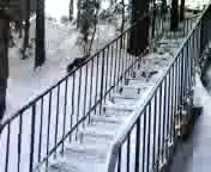 ноябрь 2016 лес в сходнице ездил сам не хватало вас