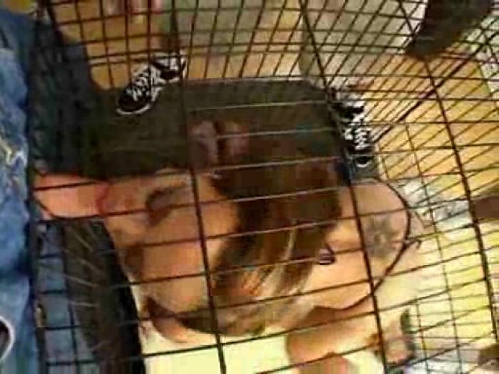 Gauge fucks with four men