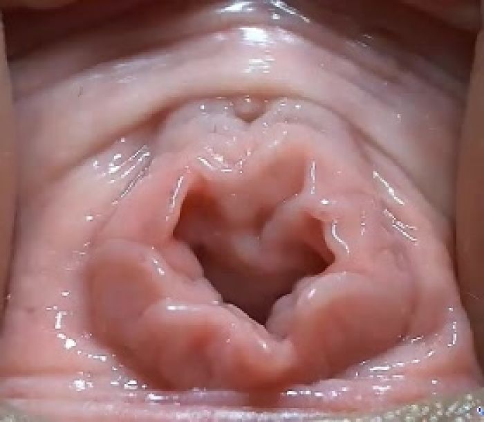 НЕЖНЫЙ ПОТРОХ