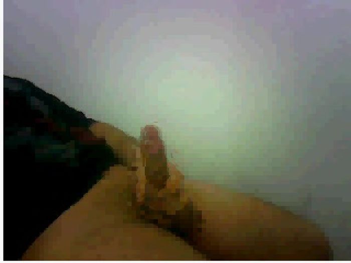 eta ya novy seycha v skype